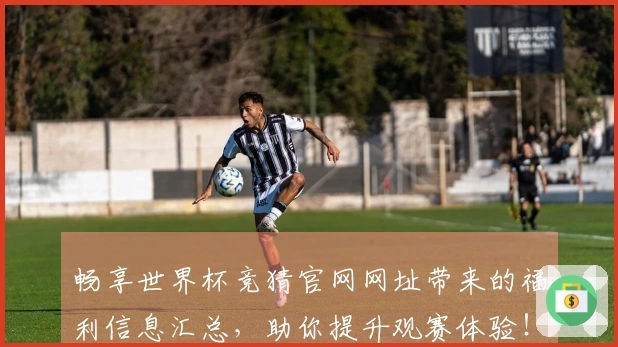 畅享世界杯竞猜官网网址带来的福利信息汇总，助你提升观赛体验！