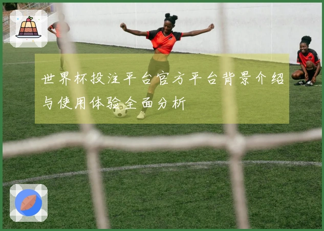 世界杯投注平台官方平台背景介绍与使用体验全面分析