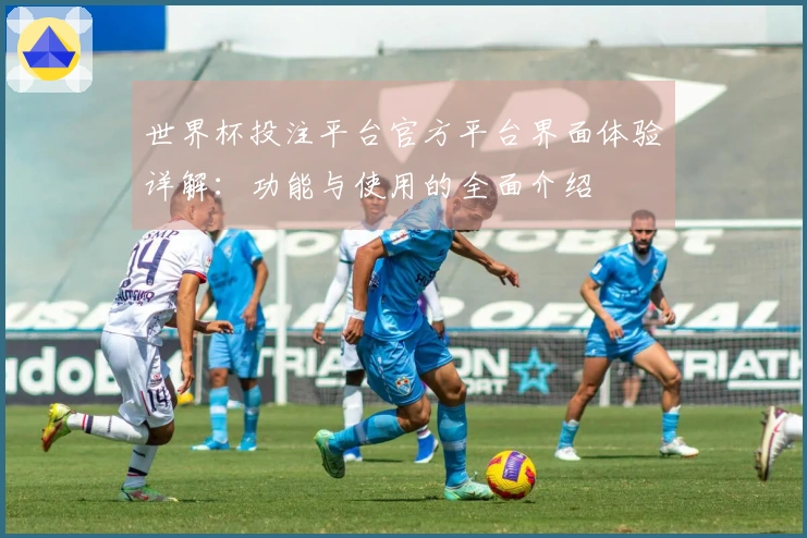 世界杯投注平台官方平台界面体验详解：功能与使用的全面介绍