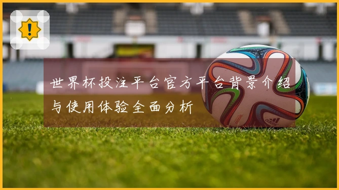 世界杯投注平台官方平台背景介绍与使用体验全面分析