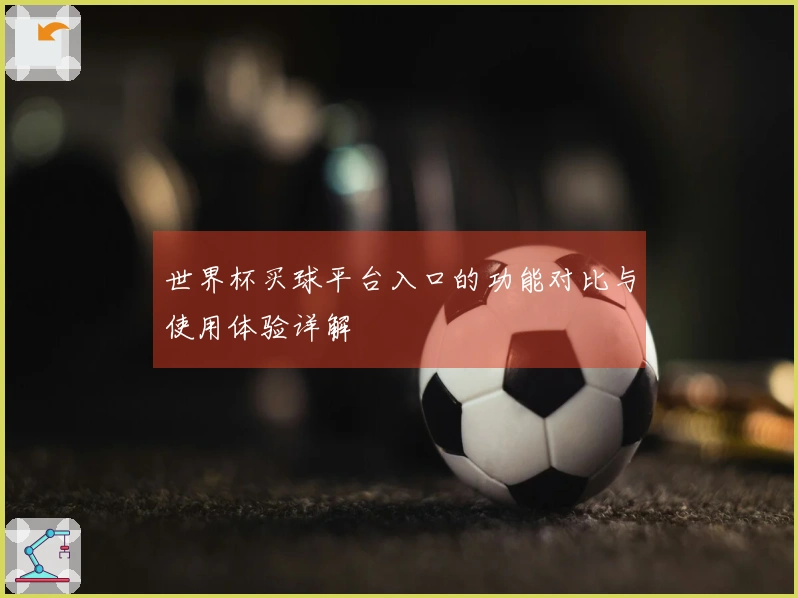 世界杯买球平台入口的功能对比与使用体验详解