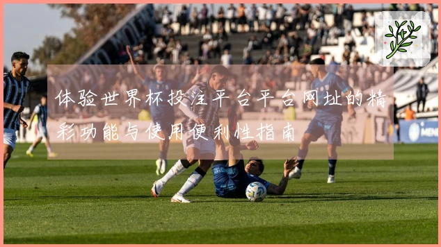 体验世界杯投注平台平台网址的精彩功能与使用便利性指南